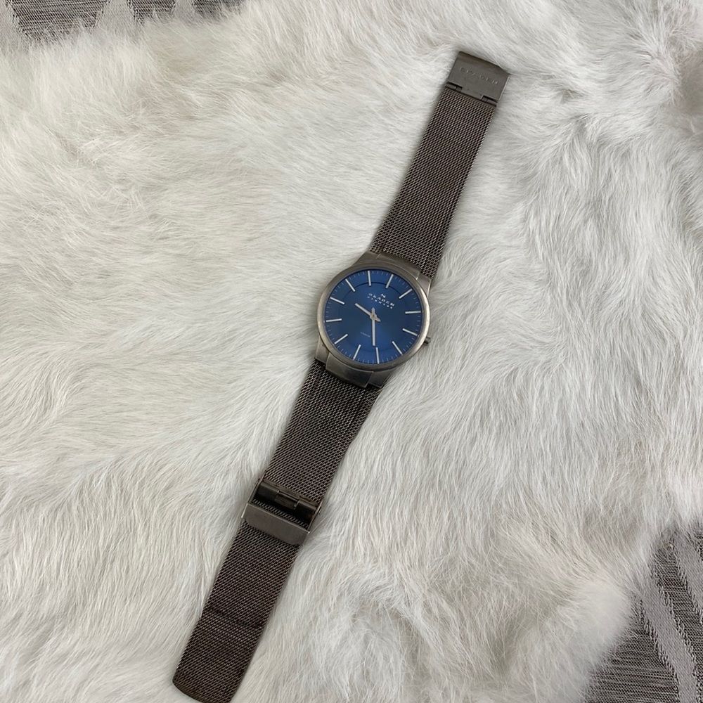 Skagen Denmark Titanium Blue Face Stainless Steal Watch Water Resistant - Picture 2 of 5